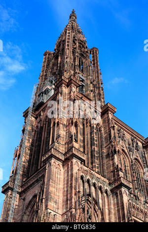 La cathédrale de Strasbourg, Strasbourg, Alsace, France Banque D'Images