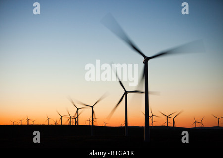 Plus Whitlee Dawn wind farm au sud de Glasgow, Écosse, Royaume-Uni, est le plus grand parc éolien onshore avec 140 turbines. Banque D'Images