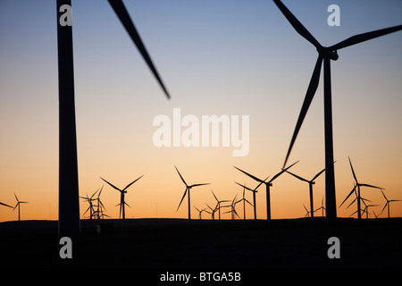 Whitelee wind farm on Eaglesham Moor au sud de Glasgow dans Scotlasnd, UK, est le plus grand parc éolien onshore avec 140 éoliennes Banque D'Images