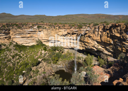 Du nord du Namaqualand Nieuwoudtville chute d'Afrique du Sud Banque D'Images