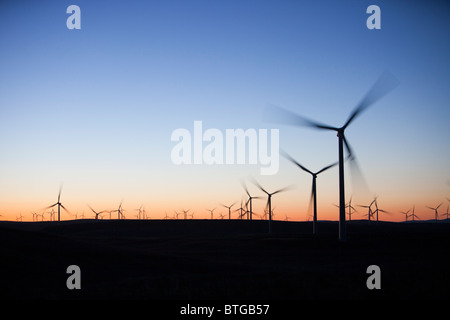 Plus Whitlee Dawn wind farm au sud de Glasgow, Écosse, Royaume-Uni, est le plus grand parc éolien onshore avec 140 turbines. Banque D'Images