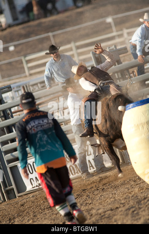 Blake Cowboy McFann participe à la monte de taureau à la San Dimas Rodeo à San Dimas, le 2 octobre 2010. Banque D'Images