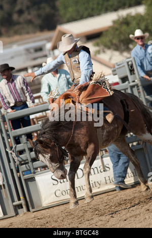 Cowboy non identifié est en concurrence dans la Selle Bronc événement au San Dimas Rodeo à San Dimas, le 2 octobre 2010. Banque D'Images