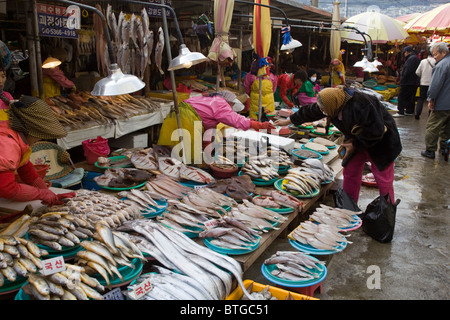 Marché aux poissons de Jagalchi à Busan en Corée du Sud Banque D'Images