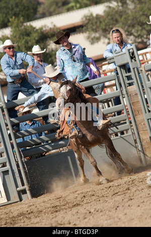 Cowboy non identifié est en concurrence dans la Selle Bronc événement au San Dimas Rodeo à San Dimas, le 2 octobre 2010. Banque D'Images
