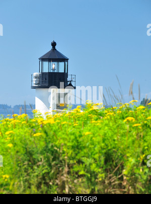 Marshall Point Lighthouse encadrée par domaine de fleurs jaune d'or de Houghton (Solidago). Clyde port du Maine, USA Banque D'Images