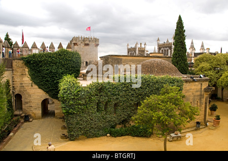 Castillo Château Almodovar del Rio Espagne Espagnol Banque D'Images