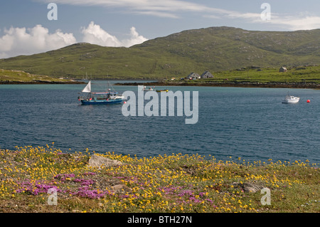 Sur "machair" Chornaig à Barra Vatersay surplombant Bagh. 6581 SCO Banque D'Images