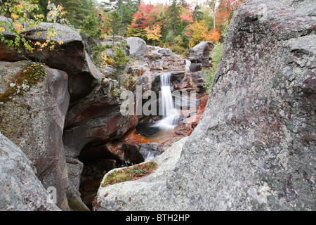 Grafton Notch State Park - la vis à vis tombe pendant les mois d'automne à Newry, Maine USA Banque D'Images