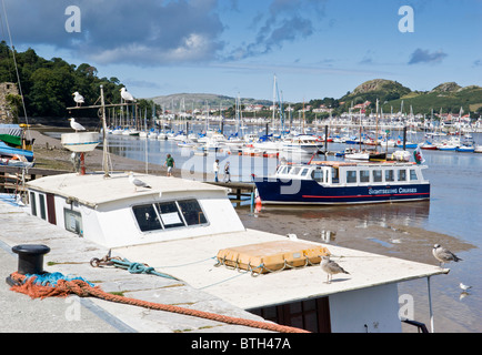 Port de Conwy et Bateaux de plaisance Banque D'Images