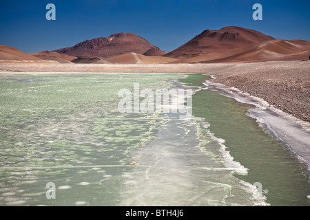 Vue sur lagon gelé Quepiaco au désert d'Atacama, Chili Banque D'Images