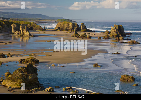 Marée basse sur la plage de Bandon dans l'Oregon Islands National Wildlife Refuge sur l'océan Pacifique dans l'Oregon Bandon Banque D'Images