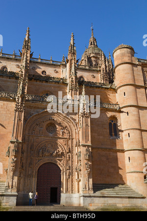 Salamanque, Province de Salamanque, Espagne. Porte de la cathédrale, côté nord. Puerta de Ramos ou de las Palmas. Banque D'Images
