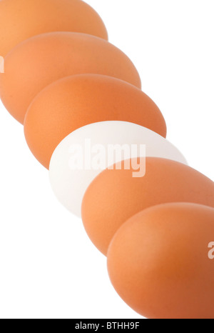 Parmi les œufs blancs oeufs brun isolated on white Banque D'Images