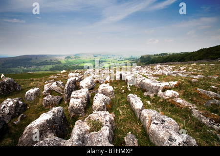 Le Yorkshire pavages calcaires près de Malham dans le Yorkshire Dales Banque D'Images