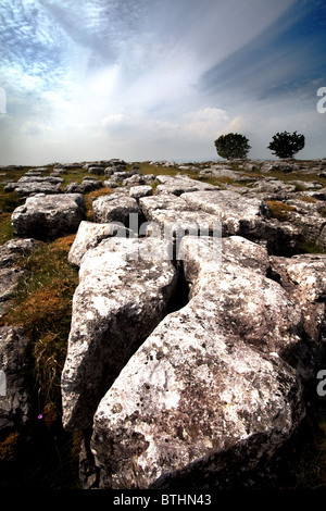 Le Yorkshire pavages calcaires près de Malham dans le Yorkshire Dales Banque D'Images