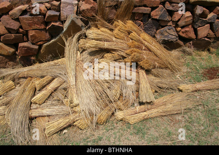L'herbe utilisée pour couvrir de chaume huttes traditionnelles, culturelles, Ndebele Village Botshabelo, Afrique du Sud Banque D'Images