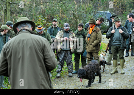 La préparation pour la chasse Les chasseurs dans les Ardennes, Belgique Banque D'Images