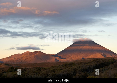 Elk195-2549 de l'Île du Nord de Nouvelle-Zélande Parc National de Tongariro Mt Ngauruhoe Banque D'Images