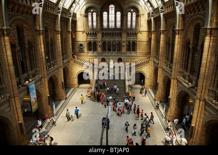 Salle Centrale, Natural History Museum, Cromwell Road, London, England, United Kingdom Banque D'Images