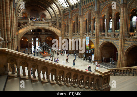 Salle Centrale, Natural History Museum, Cromwell Road, London, England, United Kingdom Banque D'Images