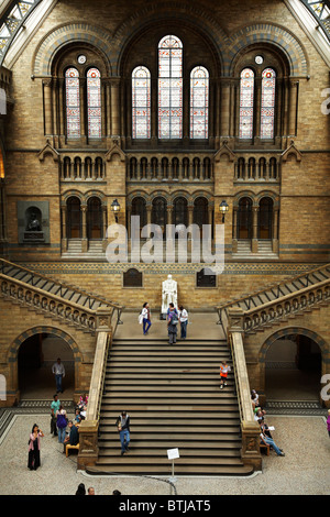 Salle Centrale, Natural History Museum, Cromwell Road, London, England, United Kingdom Banque D'Images