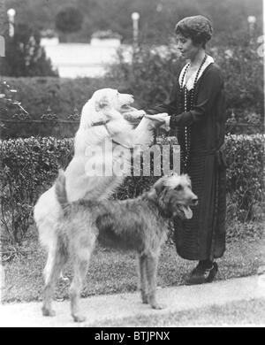 La Première Dame Grace Coolidge (1879-1957), photo ici sur la pelouse de la Maison Blanche avec les chiens de compagnie, comme elle a repris ses fonctions publiques en quelques mois après la mort de son plus jeune fils, Calvin Coolidge, Jr. Banque D'Images