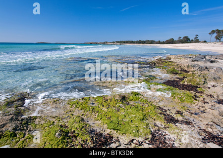 Es Caragol beach. L'île de Majorque. Espagne Banque D'Images