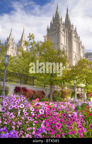 Fleurs d'été à Mormon Temple Square, au centre-ville de Salt Lake City Utah Banque D'Images