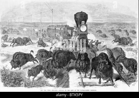 Tir des chasseurs à un troupeau de bisons d'un train et le long des voies, le far west - buffalo tir sur la ligne du chemin de fer Kansas-Pacific, gravure sur bois, 1871 Banque D'Images