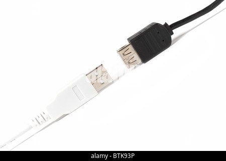 Connecteurs USB noir et blanc Banque D'Images