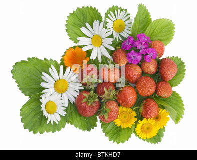 Fraise de jardin et fleurs mix Banque D'Images