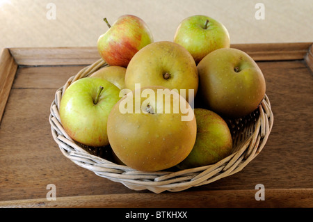 Panier d'Egremont Russet et Cox la pomme sur l'ancien plateau en bois Banque D'Images