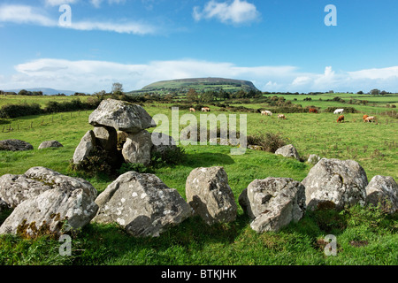 Tombe 7, un dolmen avec Stone Circle au cimetière mégalithique de Carrowmore, près de Sligo, Comté de Sligo, Irlande, Connaught. Banque D'Images