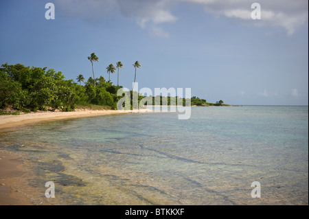 Eaux calmes, isolé plage déserte, Vieques, Puerto Rico Banque D'Images