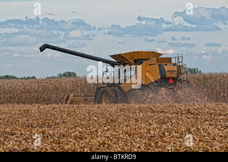 La récolte de maïs à l'aide de la machine de la moissonneuse-batteuse dans le centre de l'Illinois, États-Unis Banque D'Images