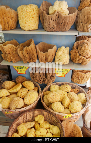 Une sélection d'éponges de mer naturelles exposés à la vente d'une boutique. L'île de Crète, Grèce. Banque D'Images