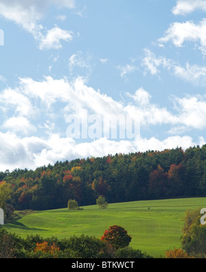 Beau terrain vert prairie d'un nouveau paysage qui dispose de l'Hampshire arbres colorés et feuilles d'automne, l'automne. Banque D'Images