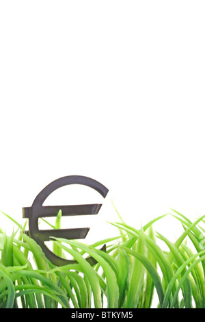 Un symbole de l'Euro sur quelques brins d'herbe. Tous isolé sur fond blanc. Banque D'Images