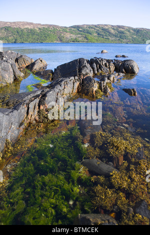 Vue paysage de le loch Sunart à partir de la péninsule d'Ardnamurchan, l'Ecosse en mai. Banque D'Images