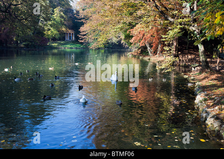 Scène d'automne au bord du lac dans le Parco di Monza Italie Banque D'Images