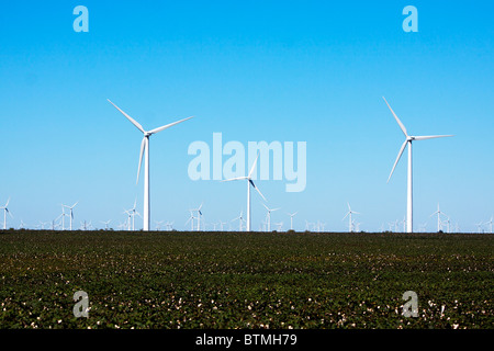 Wind Farm tours de la turbine se lever sur les champs de coton dans les régions rurales au Texas. Banque D'Images