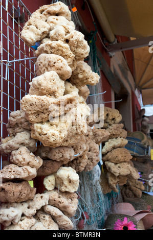 Les éponges naturelles pendre hors du sur l'affichage dans la boutique Croatie locaux ville de Rovinj Harbour en Istrie au large de la mer Adriatique Banque D'Images