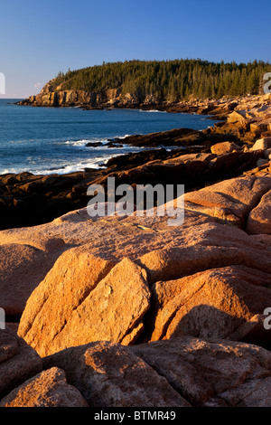 Tôt le matin à Otter Cliffs dans l'Acadia National Park, Maine USA Banque D'Images