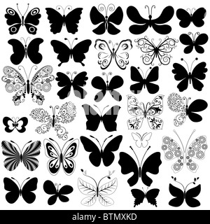 Grande collection de papillons noirs Banque D'Images