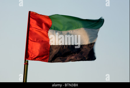 Pavillon des Emirats Arabes Unis Banque D'Images