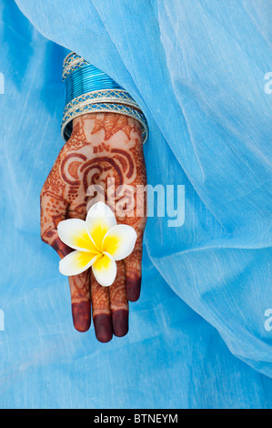 Indian girl wearing a blue sari de henné mains tenant une fleur de frangipanier. L'Inde Banque D'Images