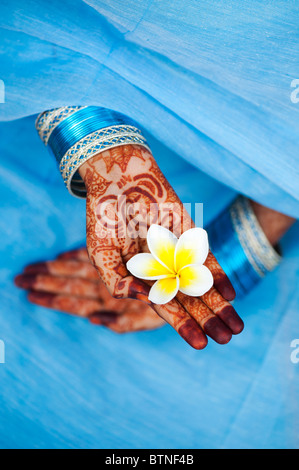 Indian girl wearing a blue sari de henné mains tenant une fleur de frangipanier. L'Inde Banque D'Images