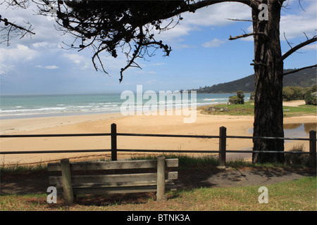 Lorne beach, Great Ocean Road, Lorne, Victoria, Australie, Océanie Banque D'Images