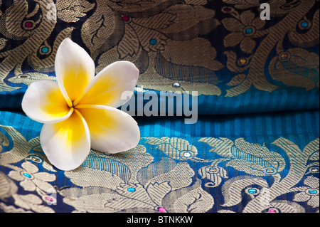 Plumeria. Fleur de frangipanier sur soie indienne sari. L'Inde Banque D'Images